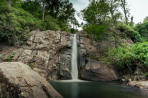 pexels-thilina-alagiyawanna-3266092-26597035